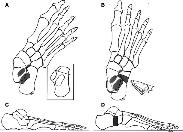 Fig. 10