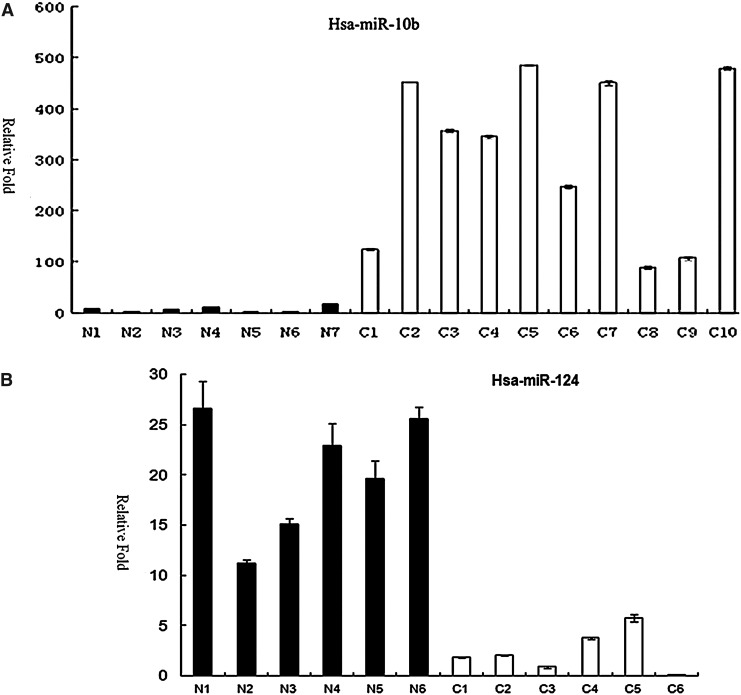 FIG. 2.