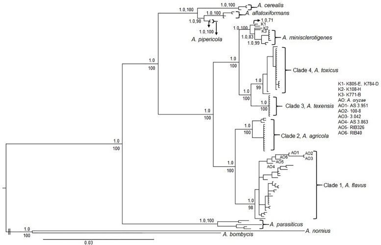 FIGURE 2