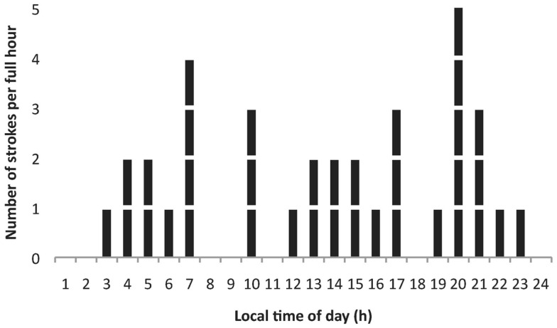 Figure 2