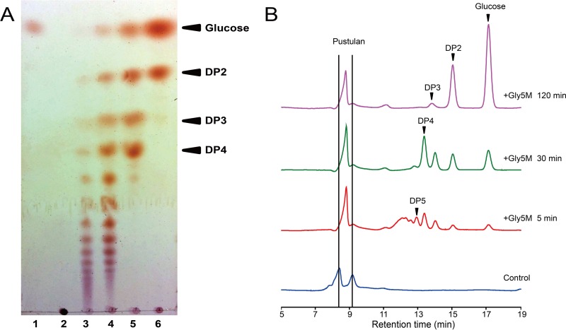 FIG 4