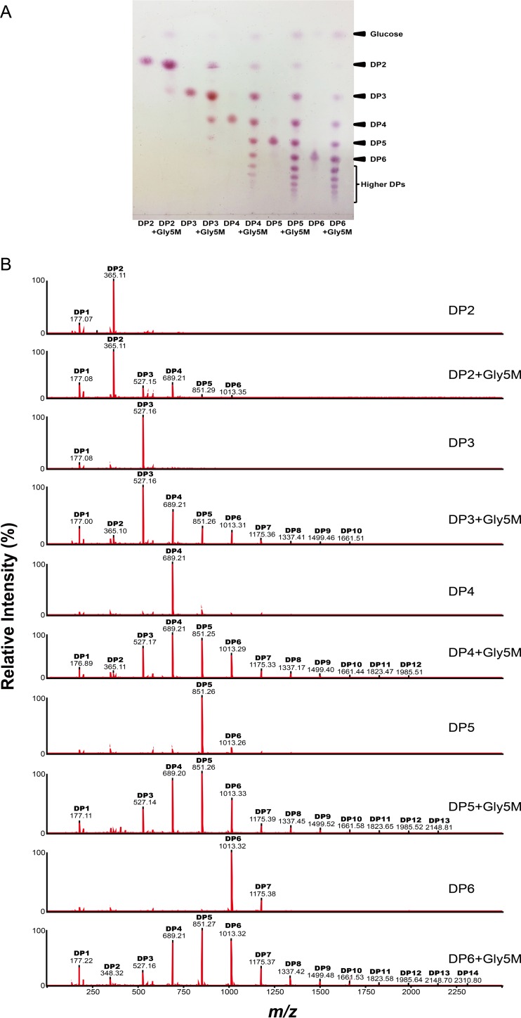 FIG 6