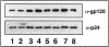 FIG. 7.
