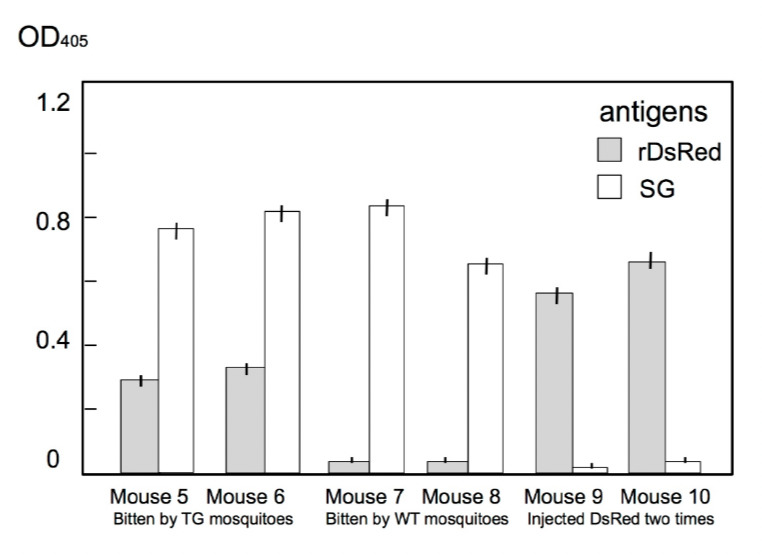 Figure 5.