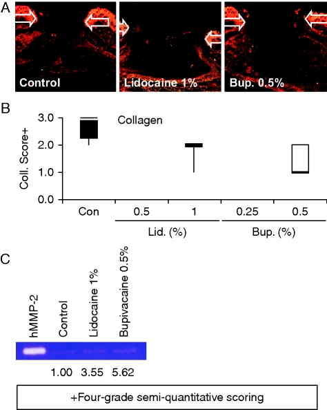 Fig 4