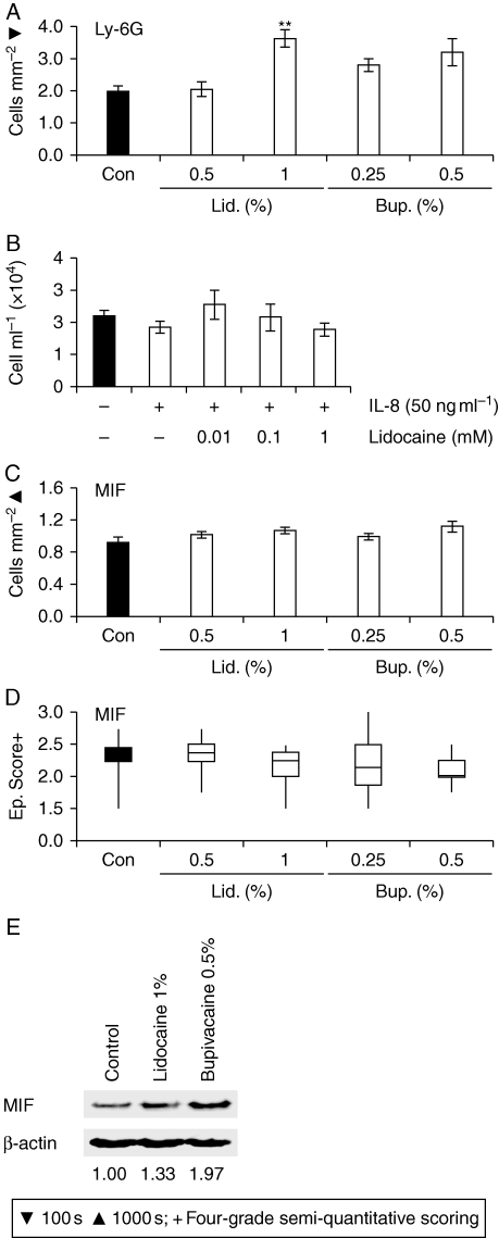 Fig 3