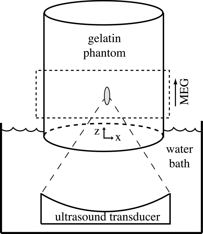 FIG. 2.