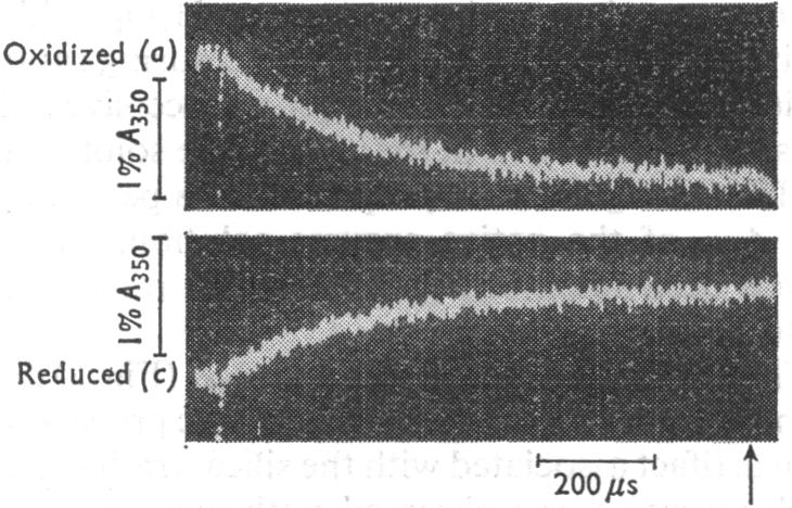 Fig. 9.