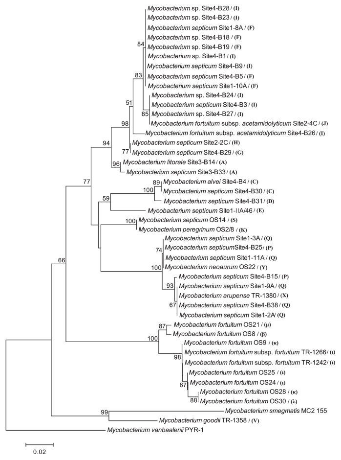 Fig. 2