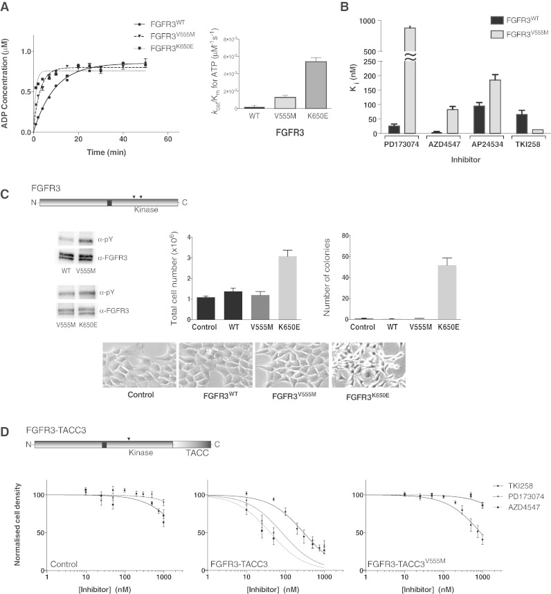 Fig. 4