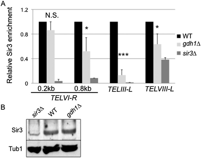 Fig. S1.