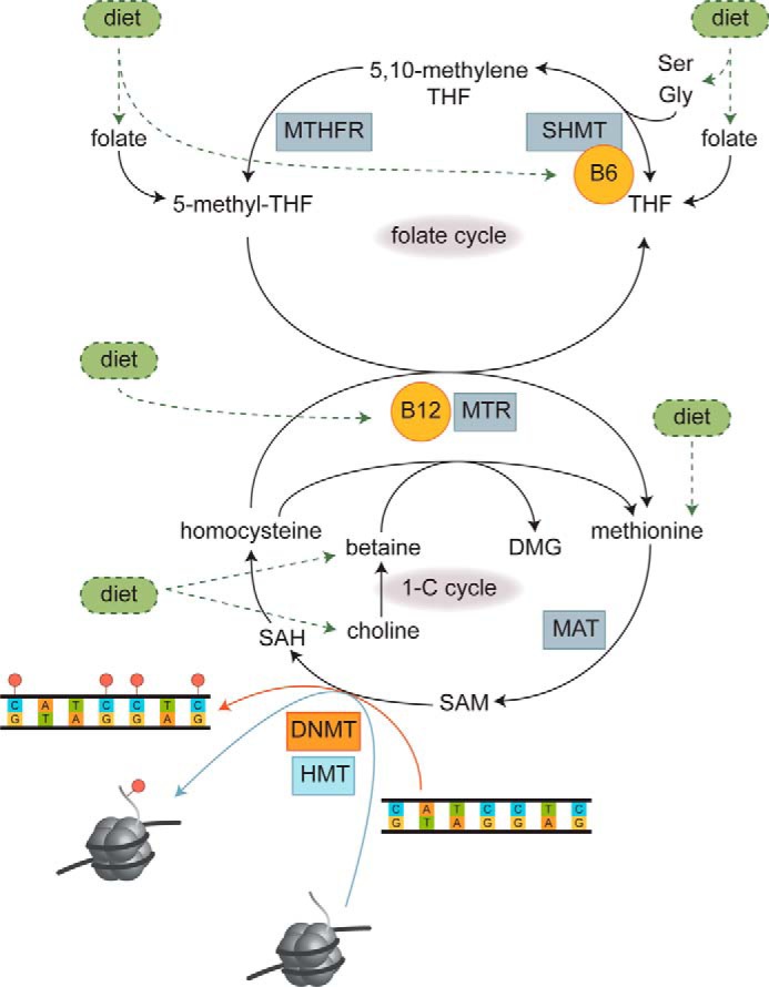 Figure 3.