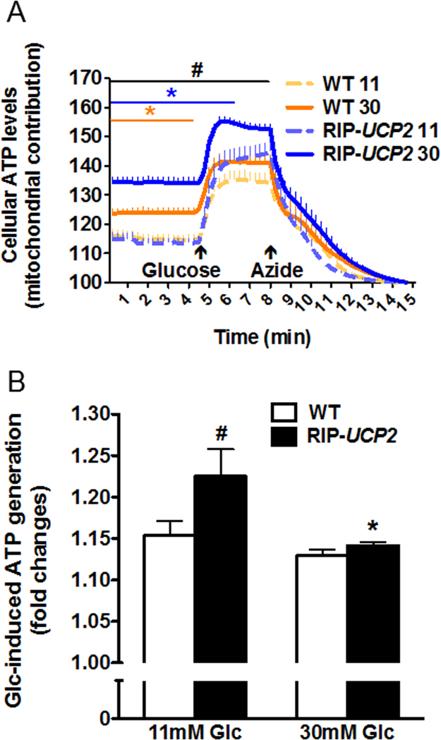 Fig. 3