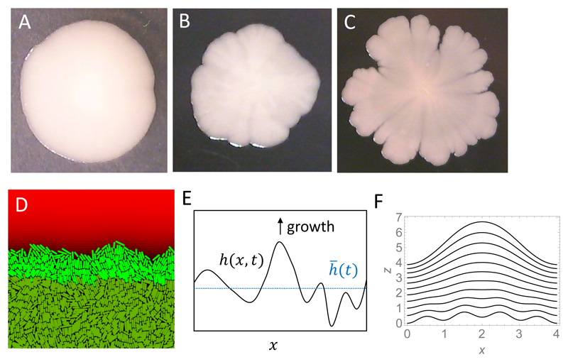 Figure 12