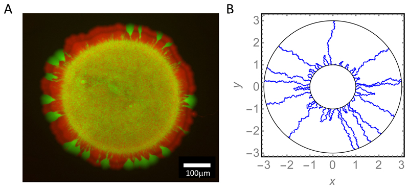 Figure 14