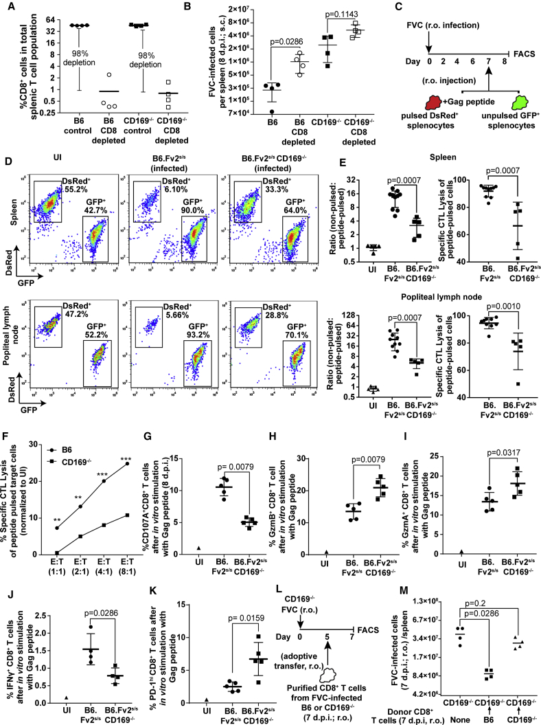 Figure 6