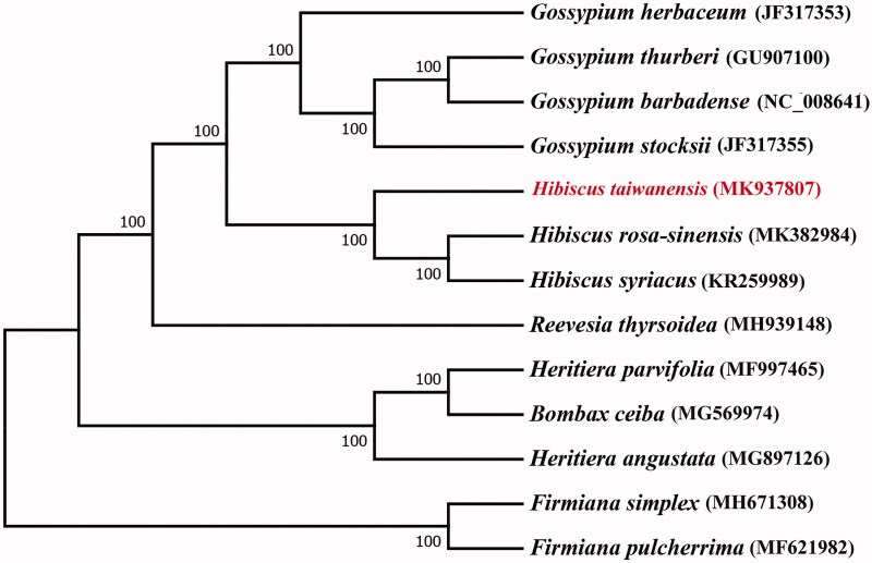 Figure 1.