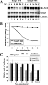 FIG. 8.