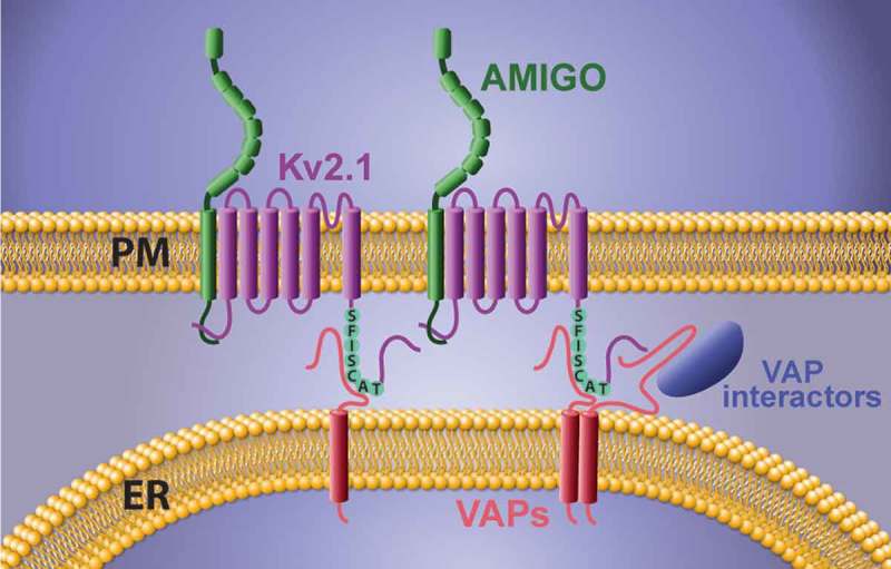 Figure 2.