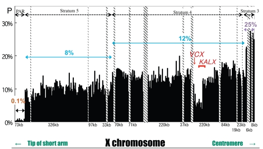 Fig. (3). Summary map of nucleotide differences between the human X and Y chromosomes.