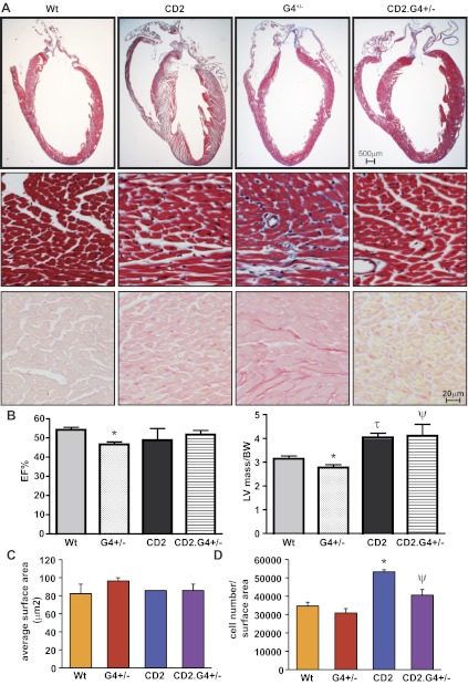 Fig. 4.