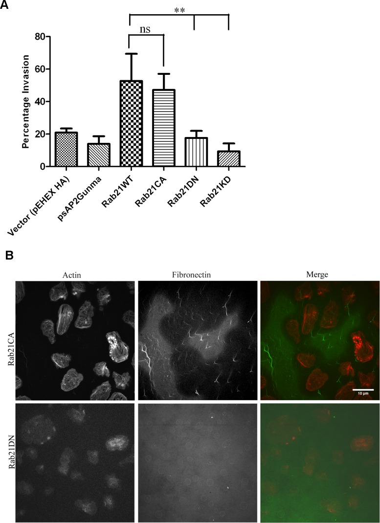 Fig 4