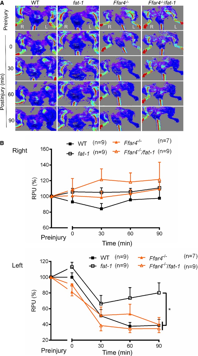 Figure 5.