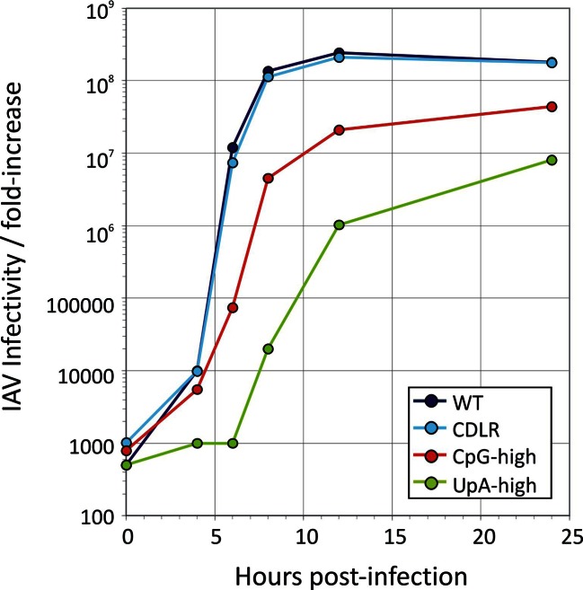 Figure 1—figure supplement 2.