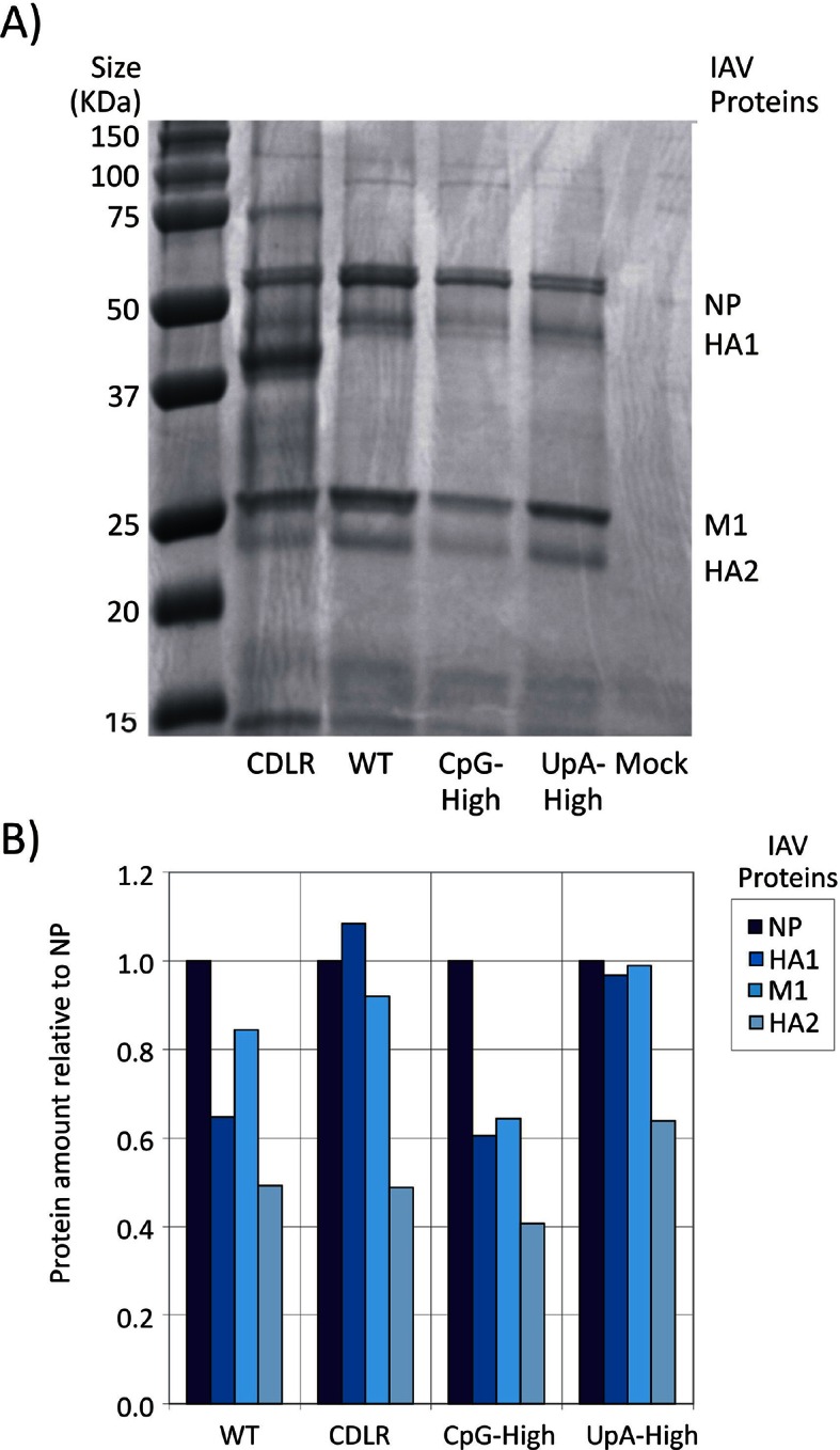 Figure 1—figure supplement 4.