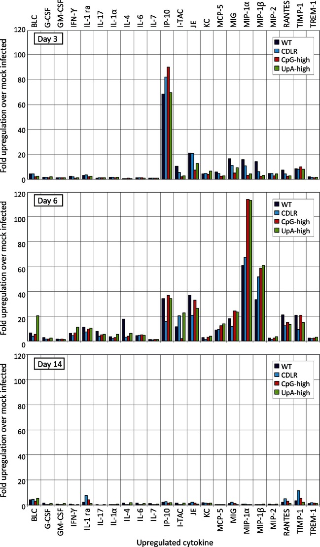 Figure 3—figure supplement 1.