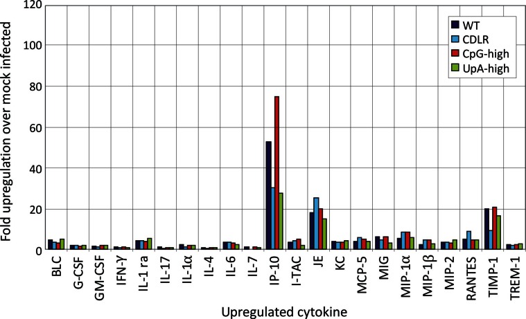 Figure 3—figure supplement 3.