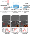 Figure 22