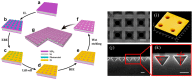 Figure 24