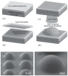 Figure 18