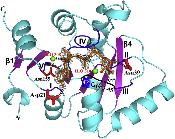 Fig. 4