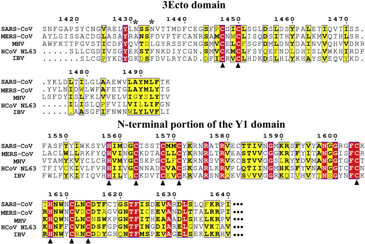 Fig. 9