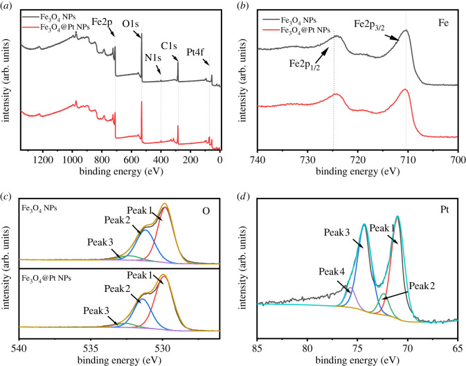 Figure 3. 