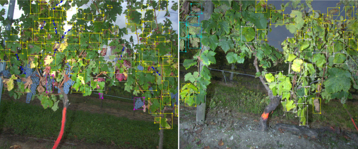 Fig 4