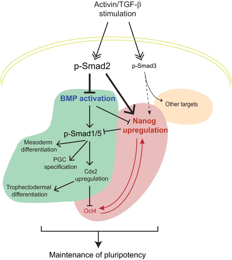 FIGURE 7.