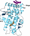 FIGURE 2.