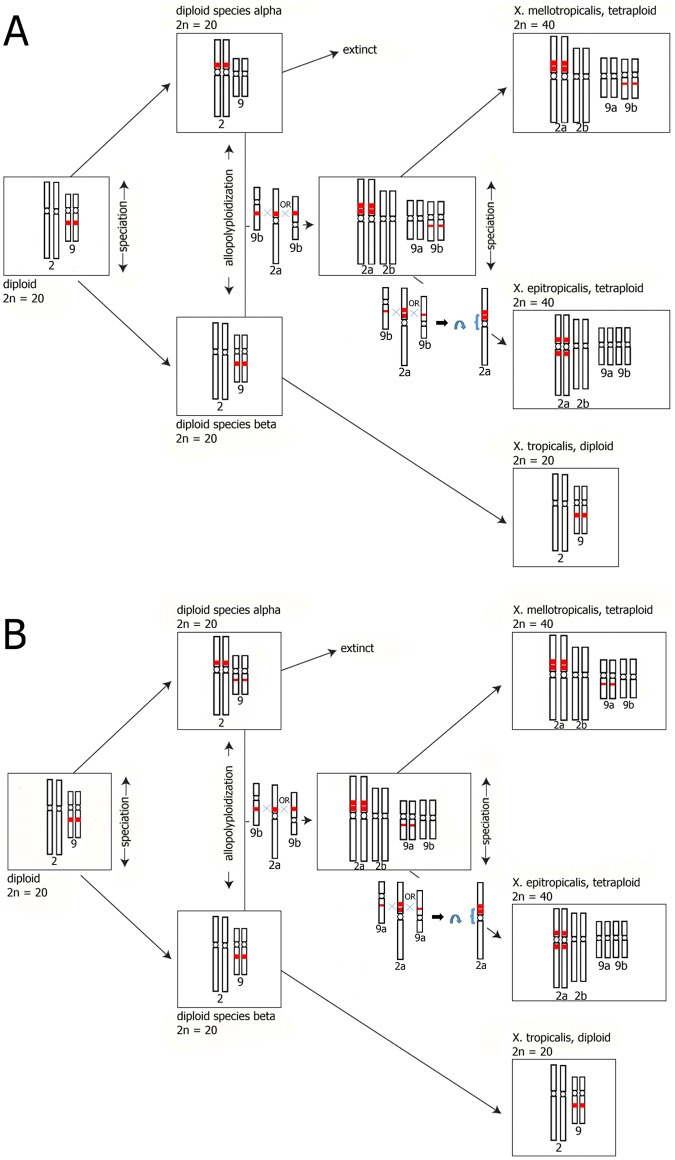 Fig 5