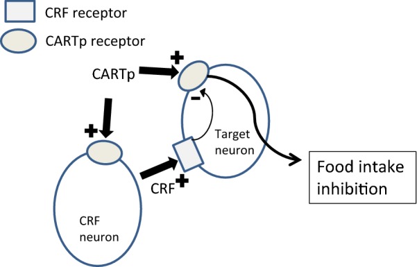 Fig. 3