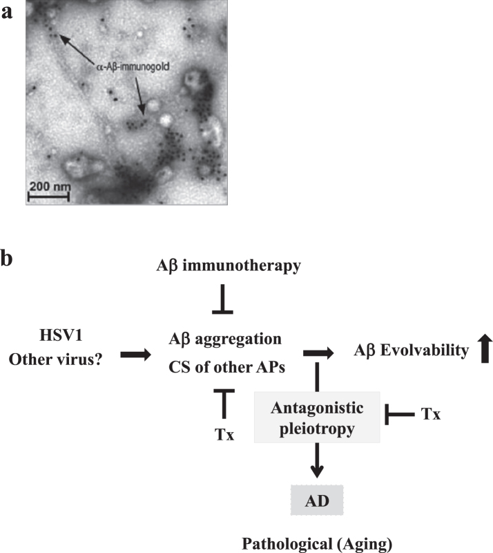 Fig.4