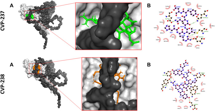 FIGURE 3