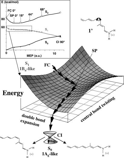 Fig. 1.