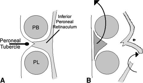 Fig. 5A–B