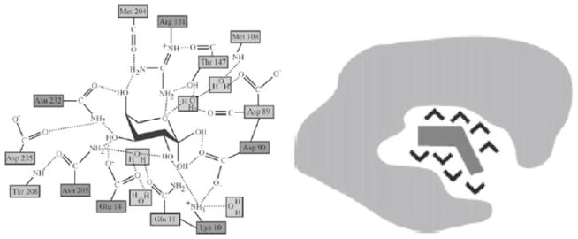 Fig. 10