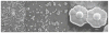 Fig. 12