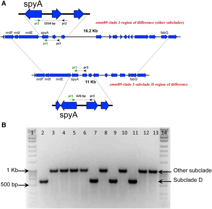 Figure 5.