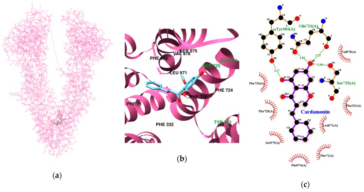 Figure 4